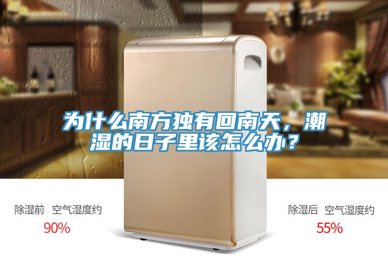 為什么南方獨(dú)有回南天，潮濕的日子里該怎么辦？