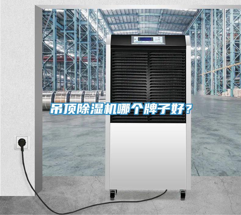 吊頂除濕機(jī)哪個牌子好？