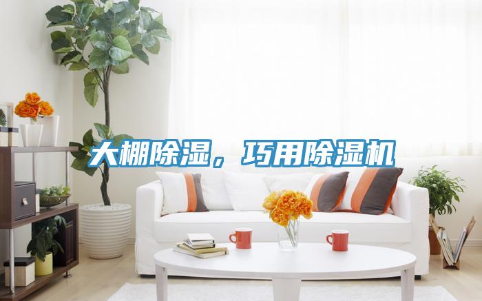 大棚除濕，巧用除濕機