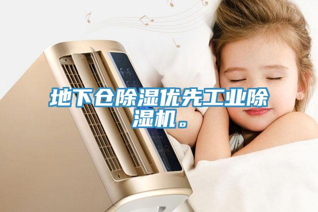 地下倉除濕優(yōu)先工業(yè)除濕機(jī)。
