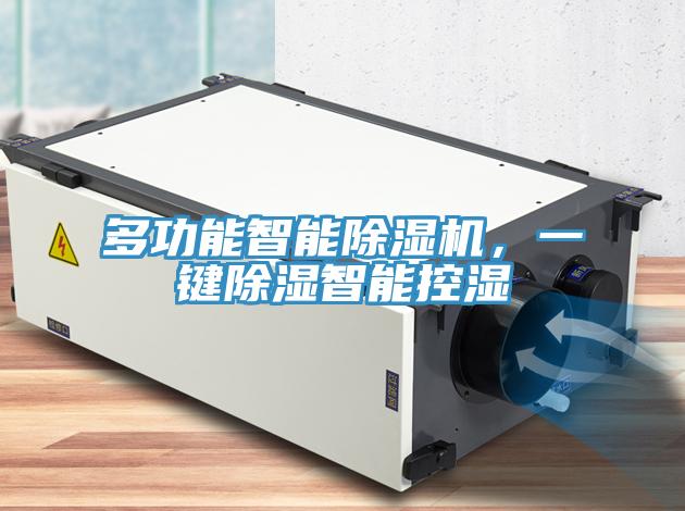 多功能智能除濕機(jī)，一鍵除濕智能控濕