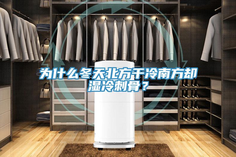 為什么冬天北方干冷南方卻濕冷刺骨？