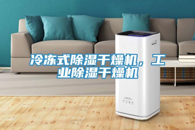 冷凍式除濕干燥機(jī)，工業(yè)除濕干燥機(jī)