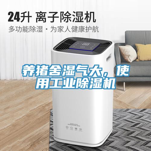 養(yǎng)豬舍濕氣大，使用工業(yè)除濕機(jī)