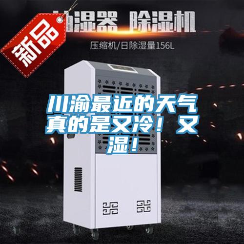 川渝最近的天氣真的是又冷！又濕！