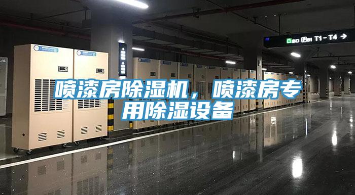 噴漆房除濕機(jī)，噴漆房專用除濕設(shè)備