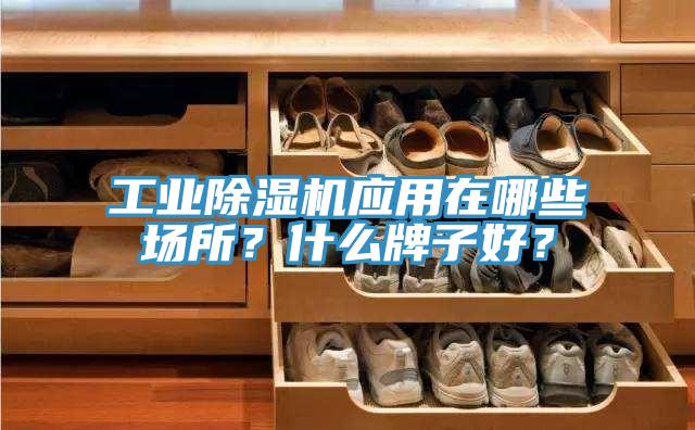 工業(yè)除濕機應(yīng)用在哪些場所？什么牌子好？