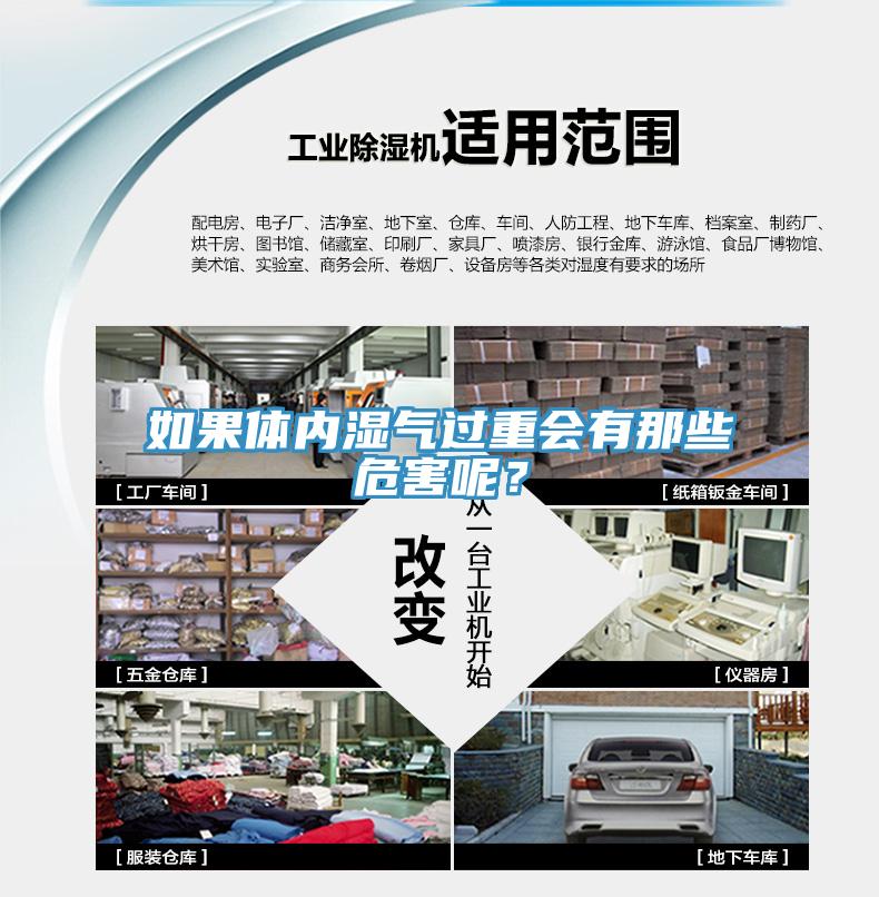 如果體內(nèi)濕氣過(guò)重會(huì)有那些危害呢？