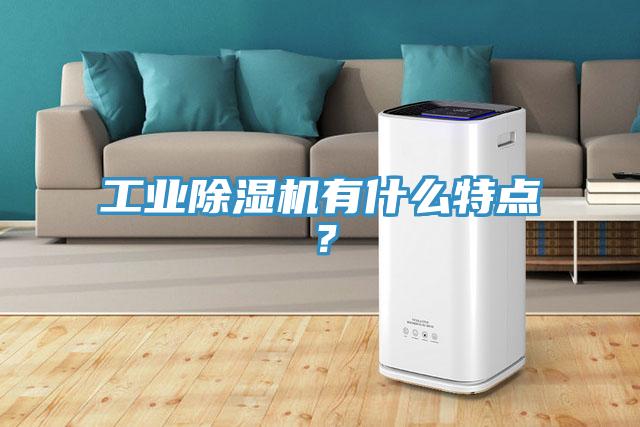 工業(yè)除濕機(jī)有什么特點？