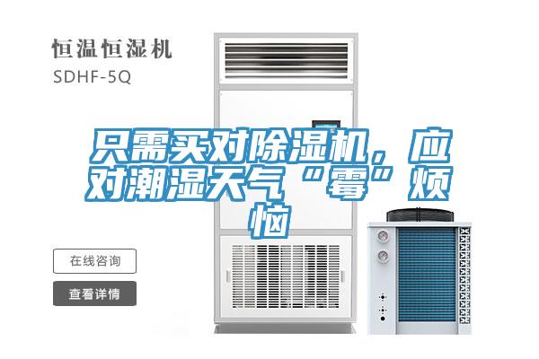 只需買對(duì)除濕機(jī)，應(yīng)對(duì)潮濕天氣“霉”煩惱