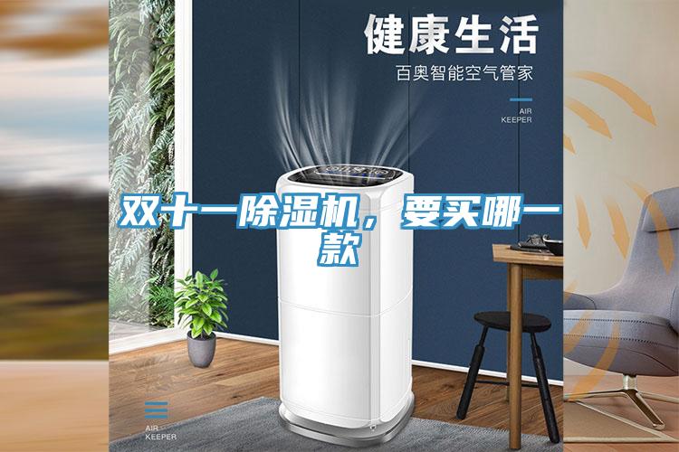雙十一除濕機(jī)，要買哪一款