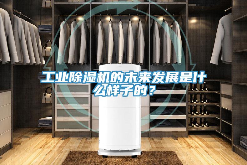 工業(yè)除濕機的未來發(fā)展是什么樣子的？