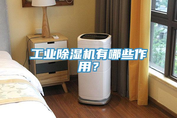工業(yè)除濕機(jī)有哪些作用？