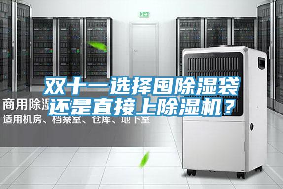雙十一選擇囤除濕袋還是直接上除濕機(jī)？