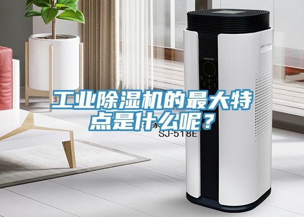 工業(yè)除濕機的最大特點是什么呢？
