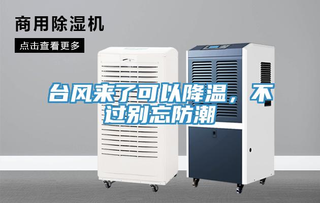 臺(tái)風(fēng)來(lái)了可以降溫，不過(guò)別忘防潮