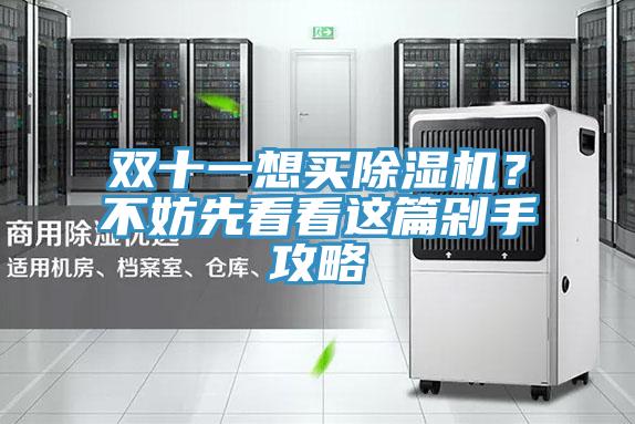 雙十一想買除濕機(jī)？不妨先看看這篇剁手攻略