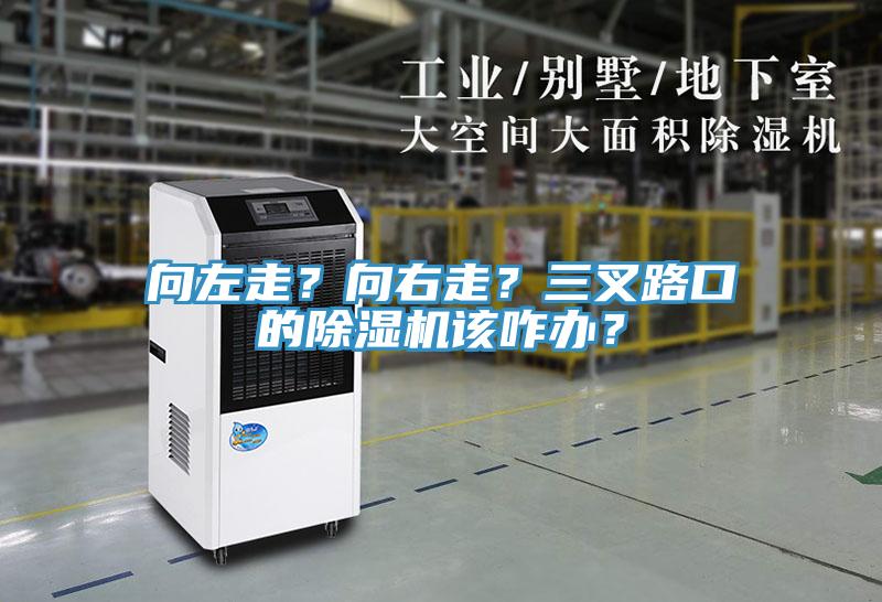 向左走？向右走？三叉路口的除濕機(jī)該咋辦？