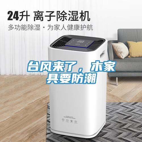 臺(tái)風(fēng)來(lái)了，木家具要防潮