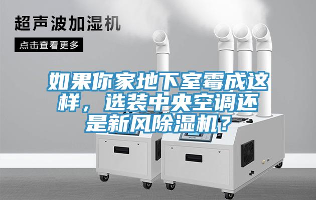 如果你家地下室霉成這樣，選裝中央空調(diào)還是新風(fēng)除濕機？