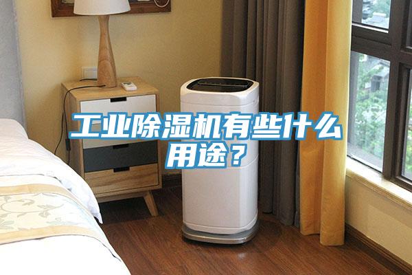 工業(yè)除濕機有些什么用途？
