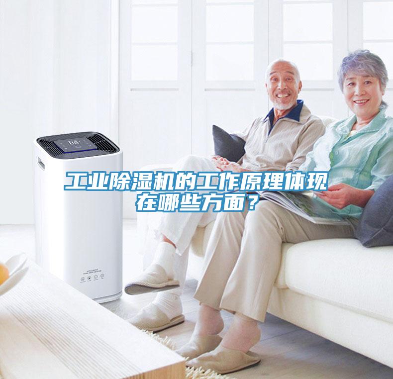 工業(yè)除濕機的工作原理體現(xiàn)在哪些方面？