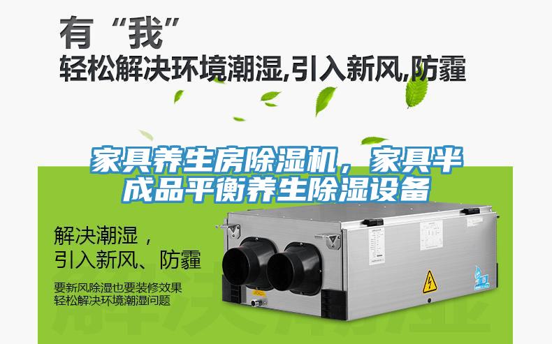 家具養(yǎng)生房除濕機，家具半成品平衡養(yǎng)生除濕設(shè)備