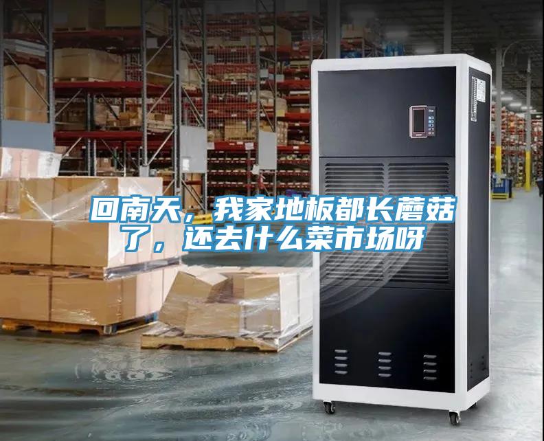 回南天，我家地板都長蘑菇了，還去什么菜市場呀