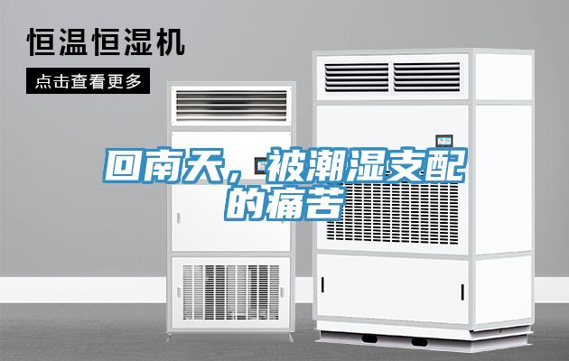 回南天，被潮濕支配的痛苦