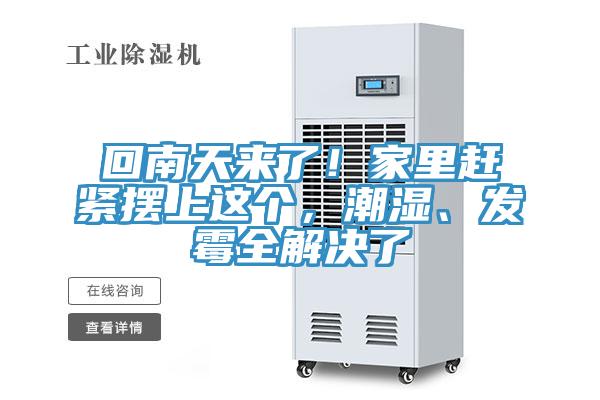 回南天來了！家里趕緊擺上這個(gè)，潮濕、發(fā)霉全解決了