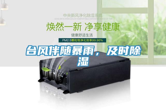 臺(tái)風(fēng)伴隨暴雨，及時(shí)除濕