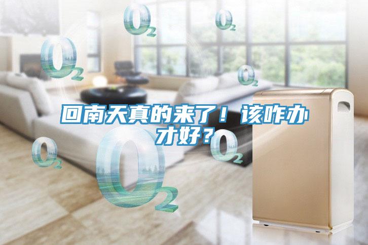 回南天真的來(lái)了！該咋辦才好？