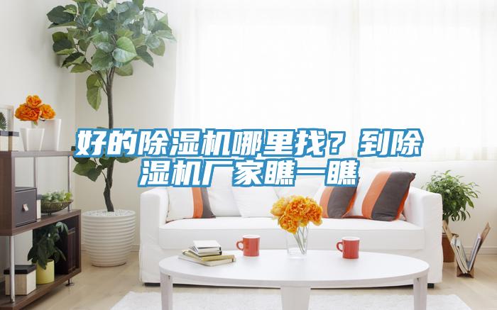 好的除濕機哪里找？到除濕機廠家瞧一瞧