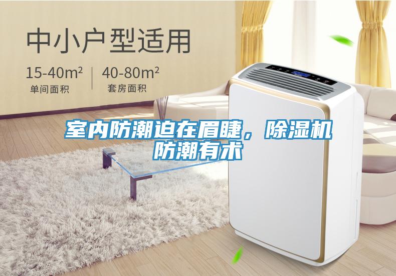 室內(nèi)防潮迫在眉睫，除濕機(jī)防潮有術(shù)