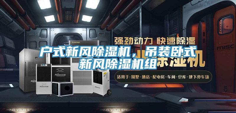 戶式新風(fēng)除濕機(jī)，吊裝臥式新風(fēng)除濕機(jī)組