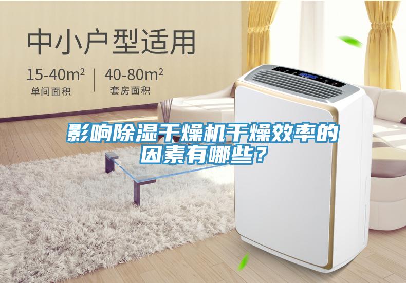 影響除濕干燥機干燥效率的因素有哪些？