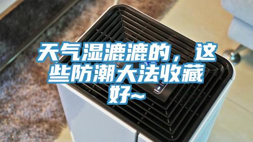 天氣濕漉漉的，這些防潮大法收藏好~