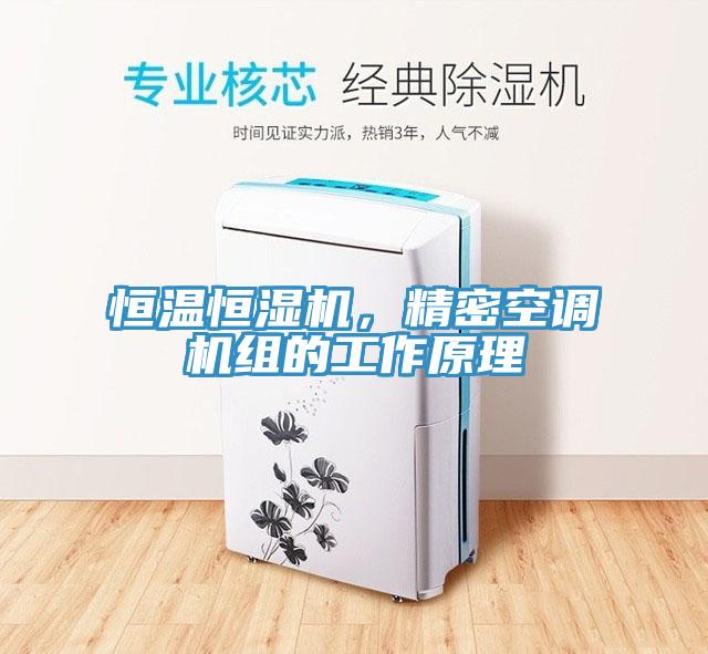 恒溫恒濕機，精密空調(diào)機組的工作原理