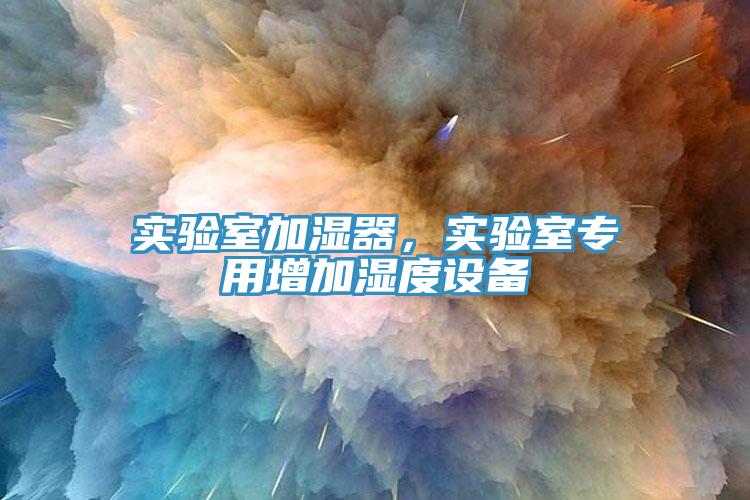 實(shí)驗(yàn)室加濕器，實(shí)驗(yàn)室專用增加濕度設(shè)備