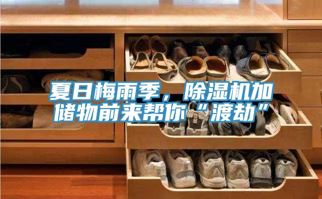 夏日梅雨季，除濕機(jī)加儲物前來幫你“渡劫”