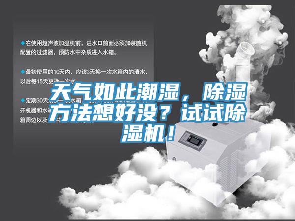 天氣如此潮濕，除濕方法想好沒？試試除濕機！