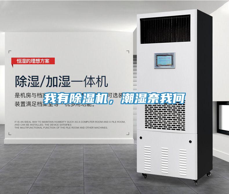 我有除濕機(jī)，潮濕奈我何