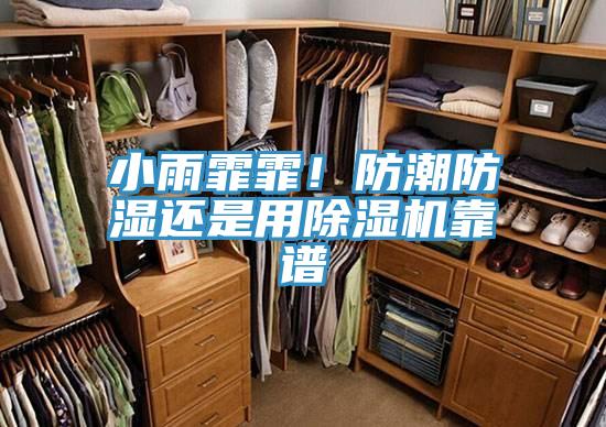 小雨霏霏！防潮防濕還是用除濕機靠譜