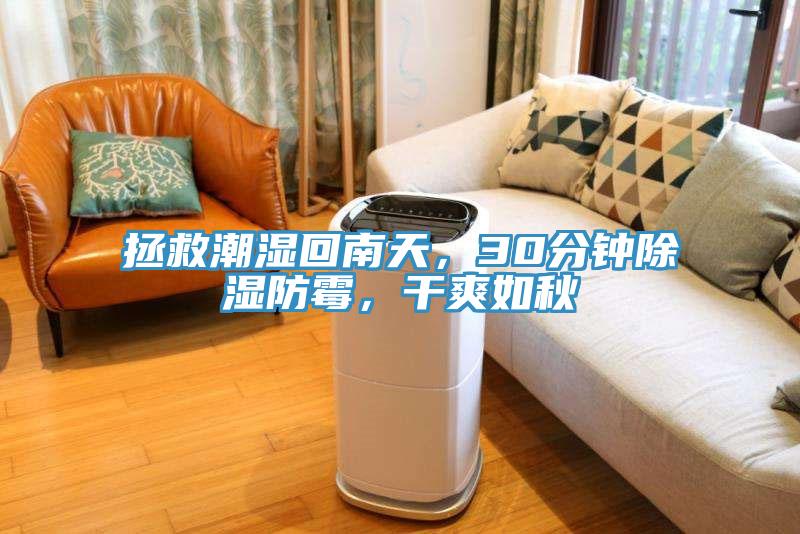 拯救潮濕回南天，30分鐘除濕防霉，干爽如秋