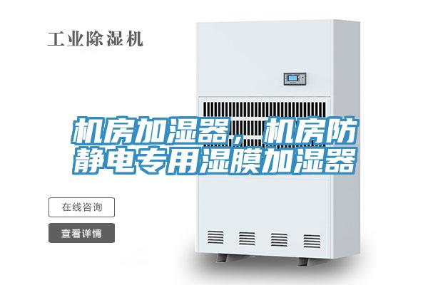 機(jī)房加濕器，機(jī)房防靜電專用濕膜加濕器