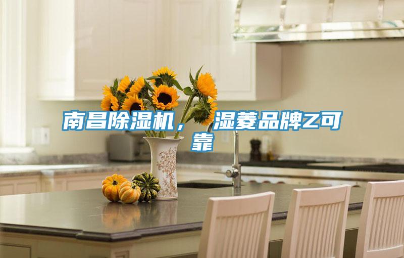 南昌除濕機(jī)， 濕菱品牌Z可靠