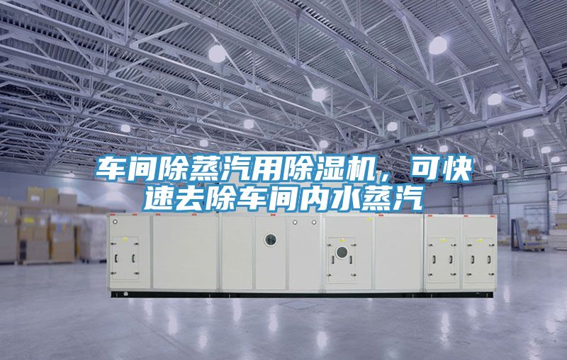 車間除蒸汽用除濕機(jī)，可快速去除車間內(nèi)水蒸汽