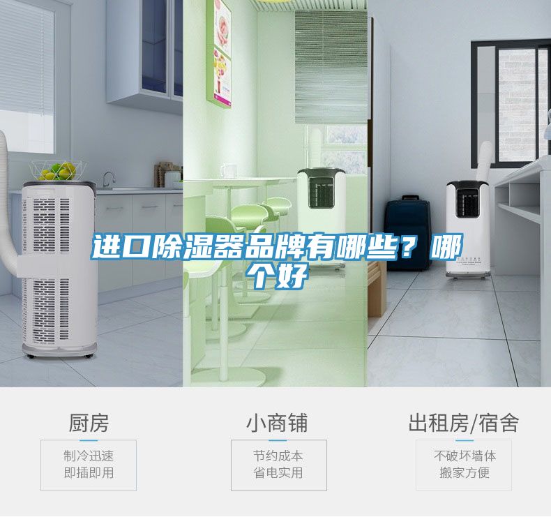 進口除濕器品牌有哪些？哪個好
