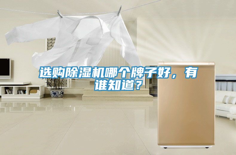 選購除濕機哪個牌子好，有誰知道？