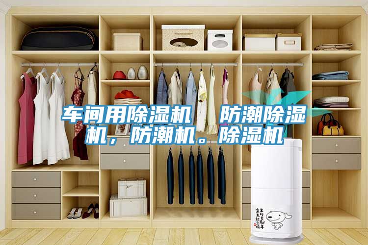 車間用除濕機(jī)  防潮除濕機(jī)，防潮機(jī)。除濕機(jī)